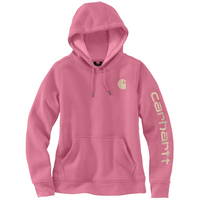 Carhartt Womens CLARKSBURG GRAPHIC Hooded Sweatshirt